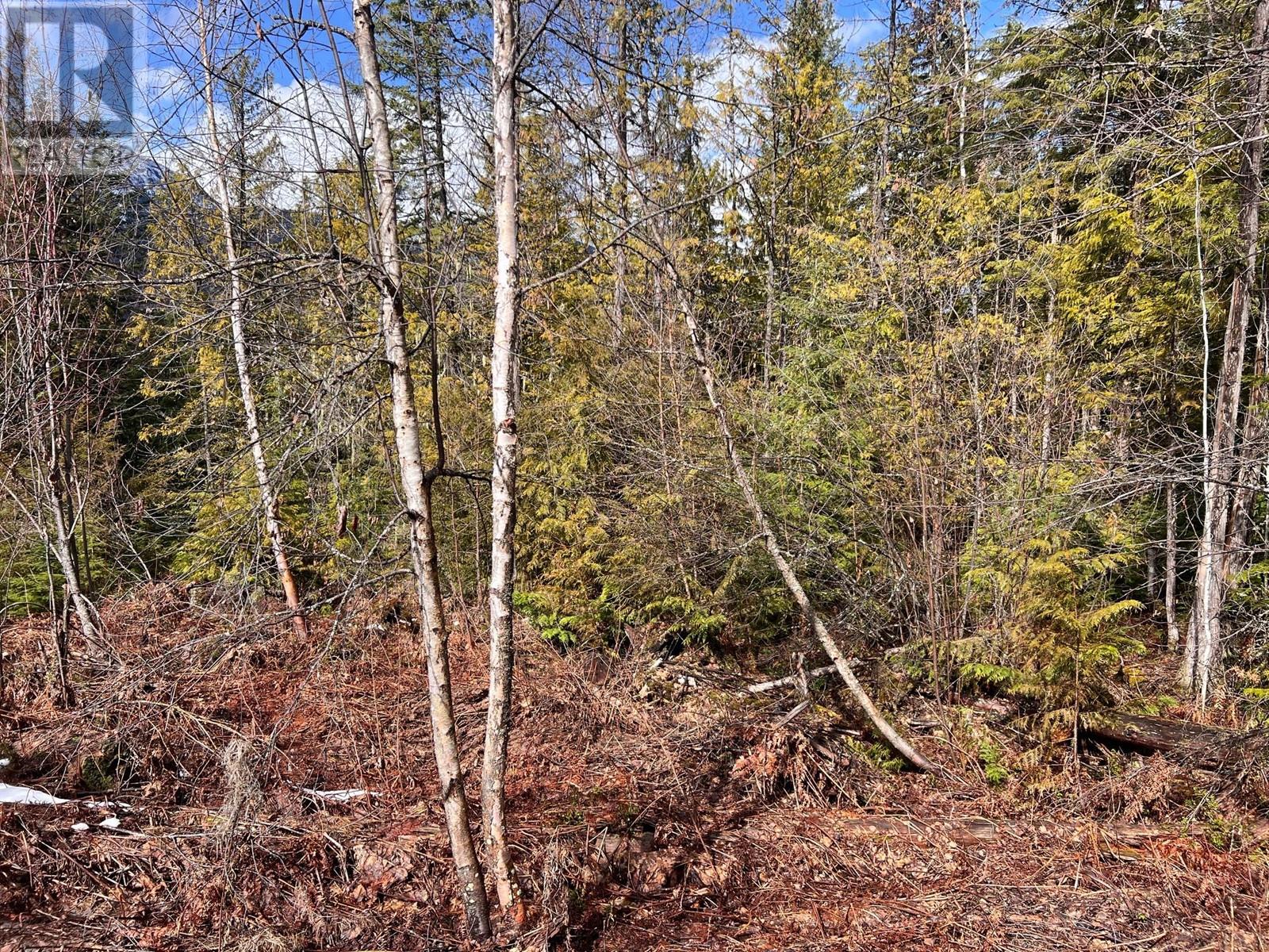 Lot 2 Martens Road, Slocan, British Columbia  V0G 2C0 - Photo 10 - 10338163
