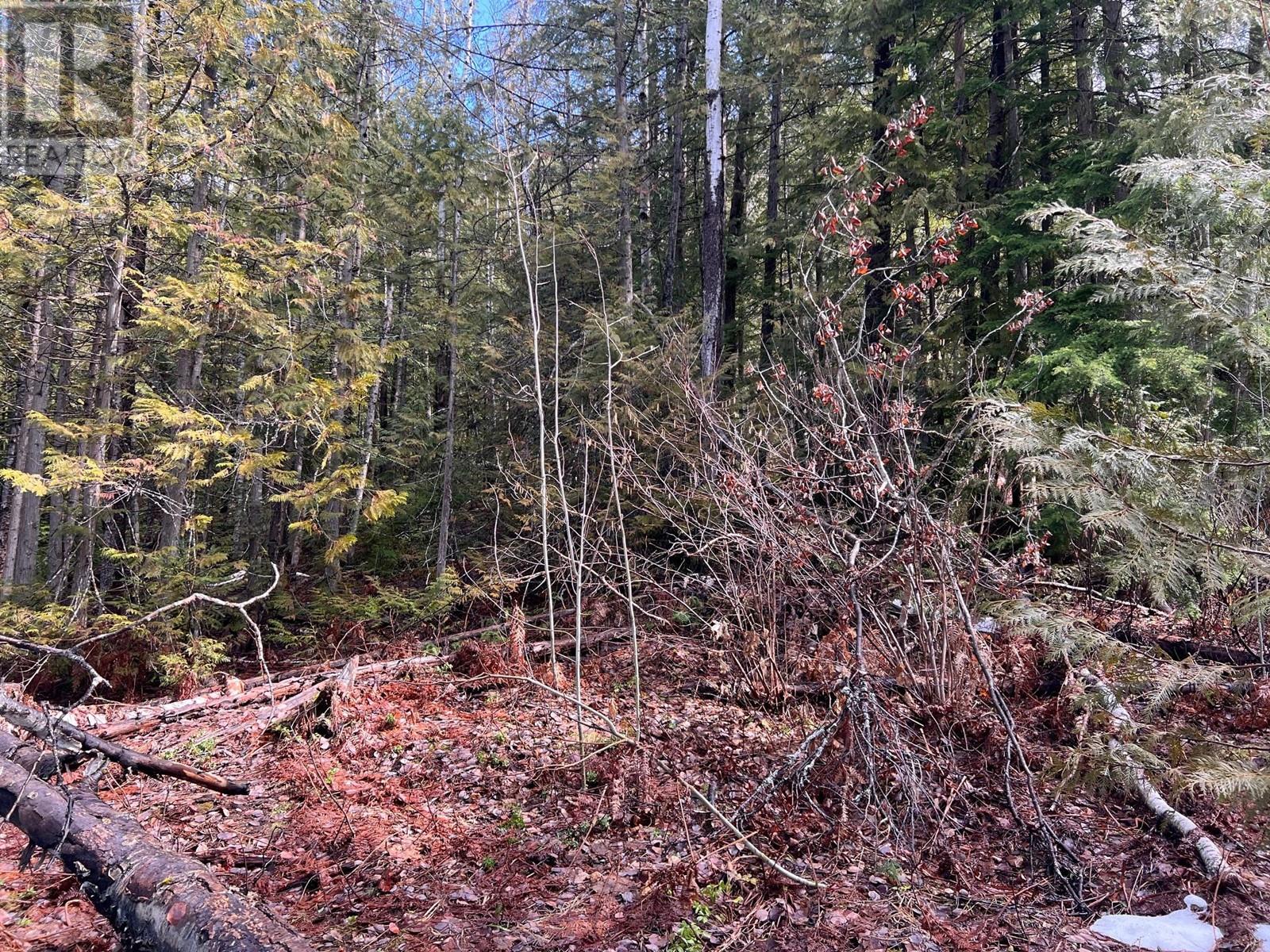 Lot 2 Martens Road, Slocan, British Columbia  V0G 2C0 - Photo 3 - 10338163