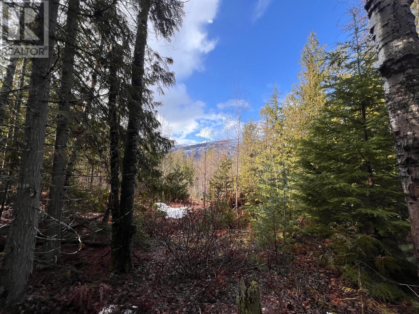 Lot 2 Martens Road, Slocan, British Columbia  V0G 2C0 - Photo 5 - 10338163