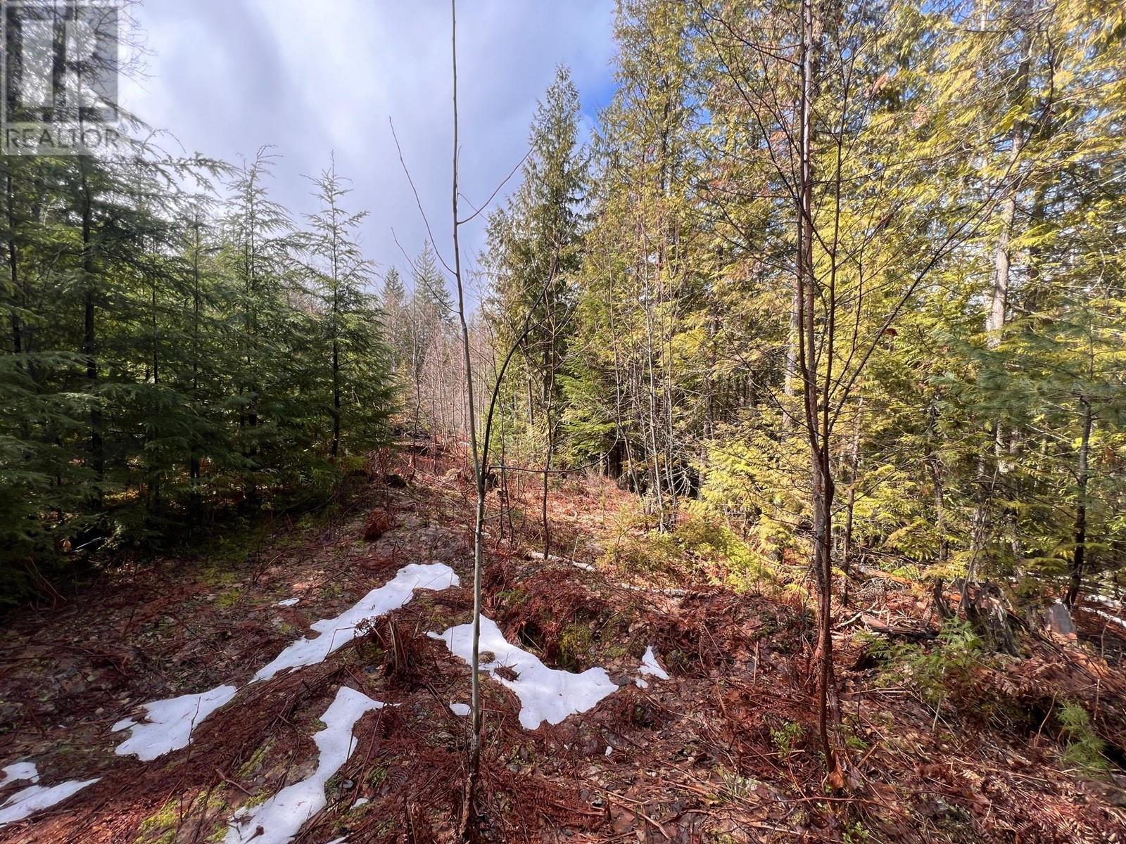 Lot 2 Martens Road, Slocan, British Columbia  V0G 2C0 - Photo 7 - 10338163