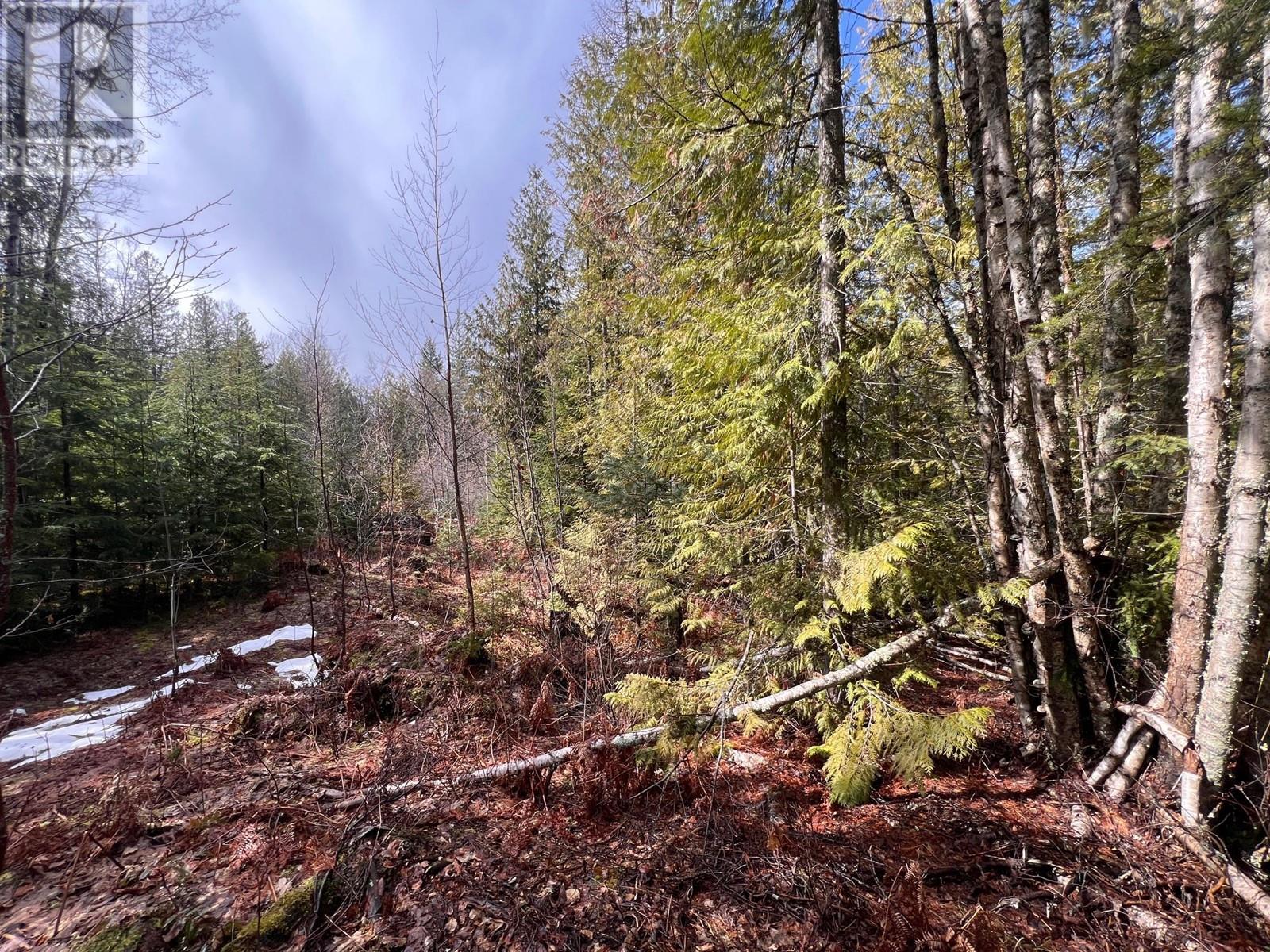 Lot 2 Martens Road, Slocan, British Columbia  V0G 2C0 - Photo 8 - 10338163