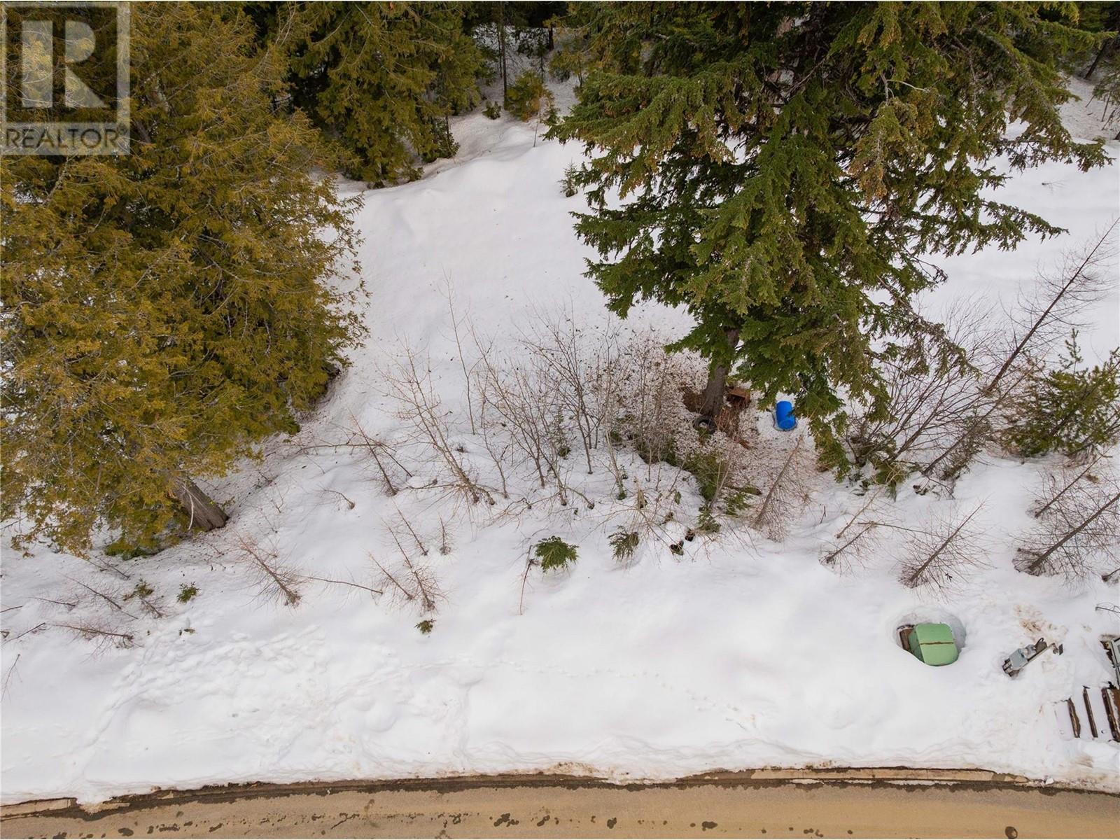 206 Rock Cut Road, Rossland, British Columbia  V0G 1Y0 - Photo 15 - 10338239
