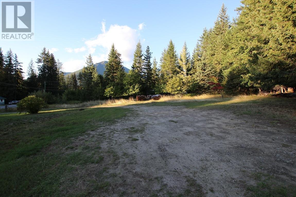 431 Alexander Road, Nakusp, British Columbia  V0G 1R1 - Photo 14 - 10339223