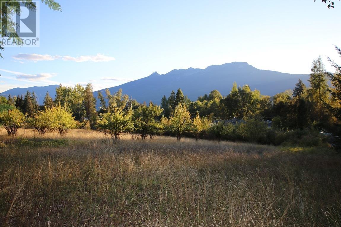 431 Alexander Road, Nakusp, British Columbia  V0G 1R1 - Photo 17 - 10339223