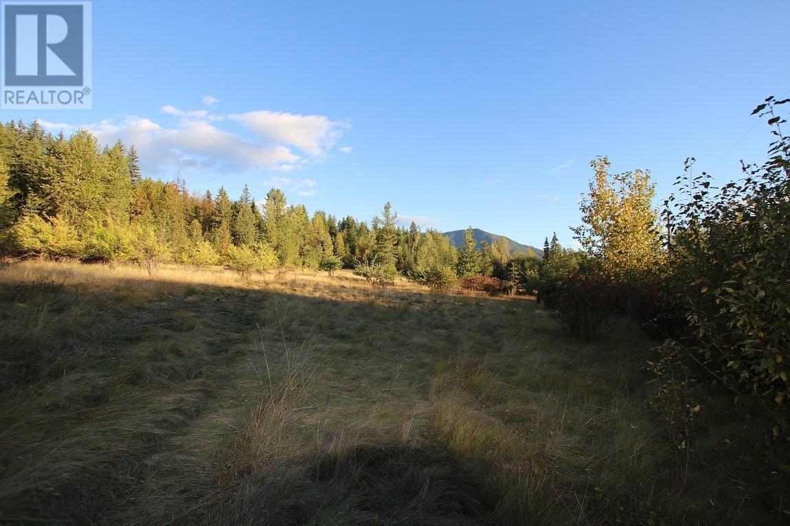 431 Alexander Road, Nakusp, British Columbia  V0G 1R1 - Photo 18 - 10339223
