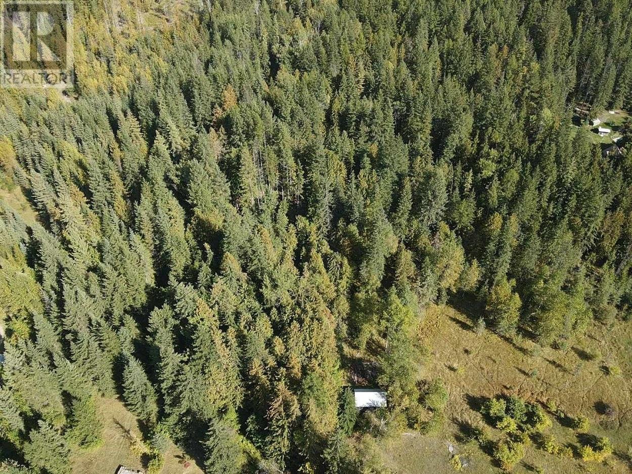 431 Alexander Road, Nakusp, British Columbia  V0G 1R1 - Photo 37 - 10339223