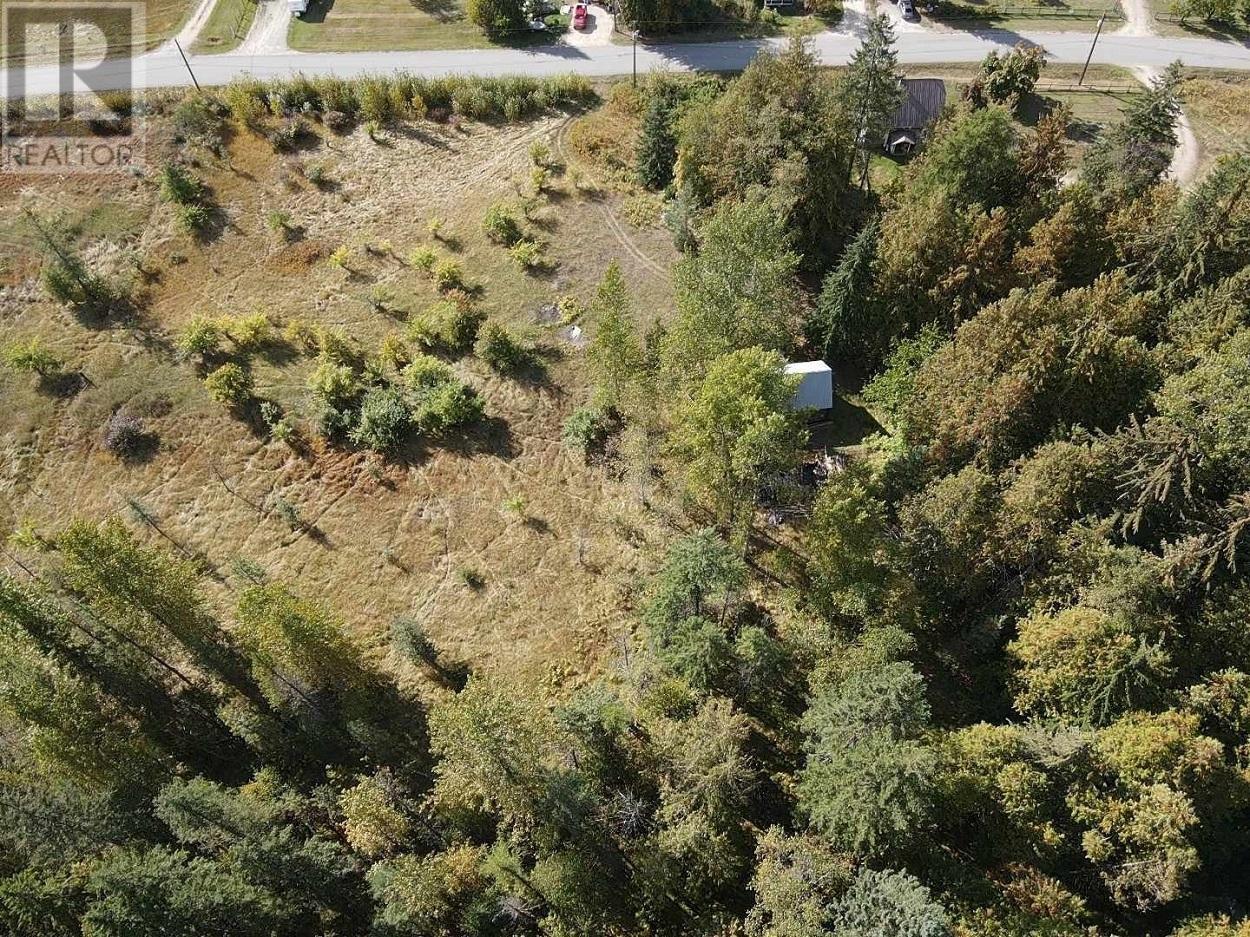 431 Alexander Road, Nakusp, British Columbia  V0G 1R1 - Photo 39 - 10339223