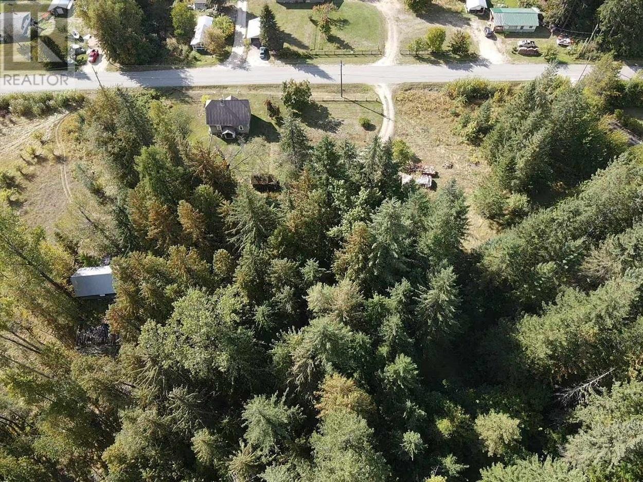 431 Alexander Road, Nakusp, British Columbia  V0G 1R1 - Photo 4 - 10339223