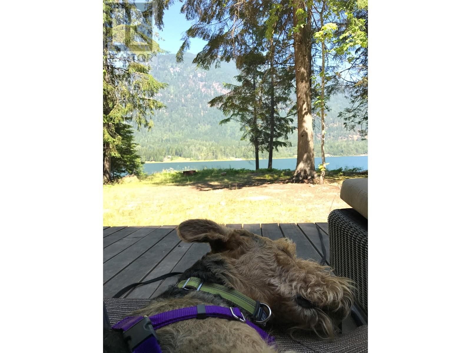 3848 Rock Island Road, Nakusp, British Columbia  V0G 1R1 - Photo 25 - 10340019
