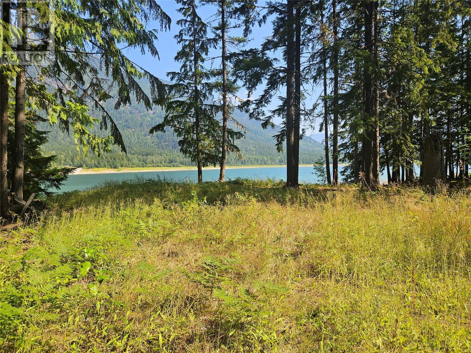 3848 Rock Island Road, Nakusp, British Columbia  V0G 1R1 - Photo 31 - 10340019
