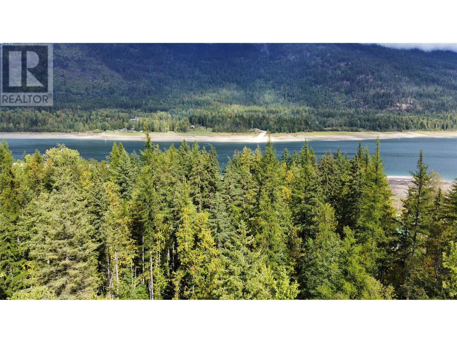 3848 Rock Island Road, Nakusp, British Columbia  V0G 1R1 - Photo 34 - 10340019