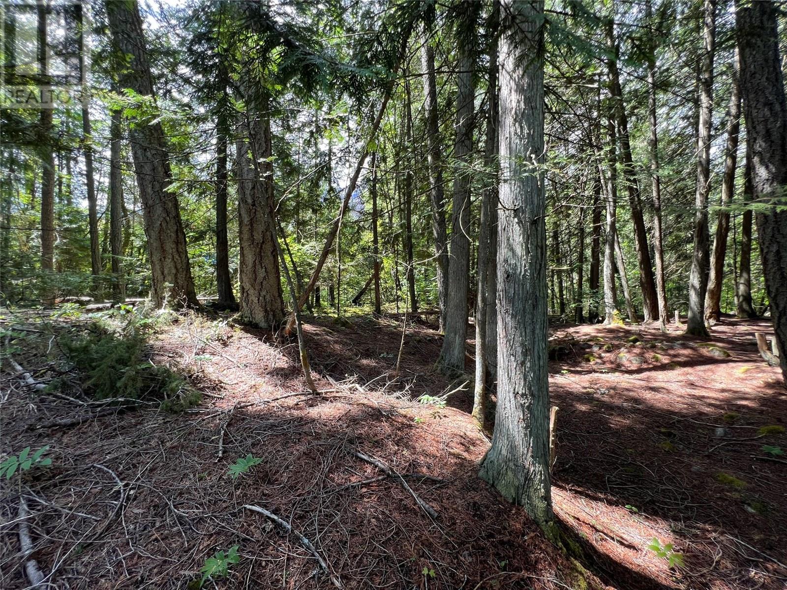 611 Slocan Street, Slocan, British Columbia  V0G 2C0 - Photo 13 - 10340071