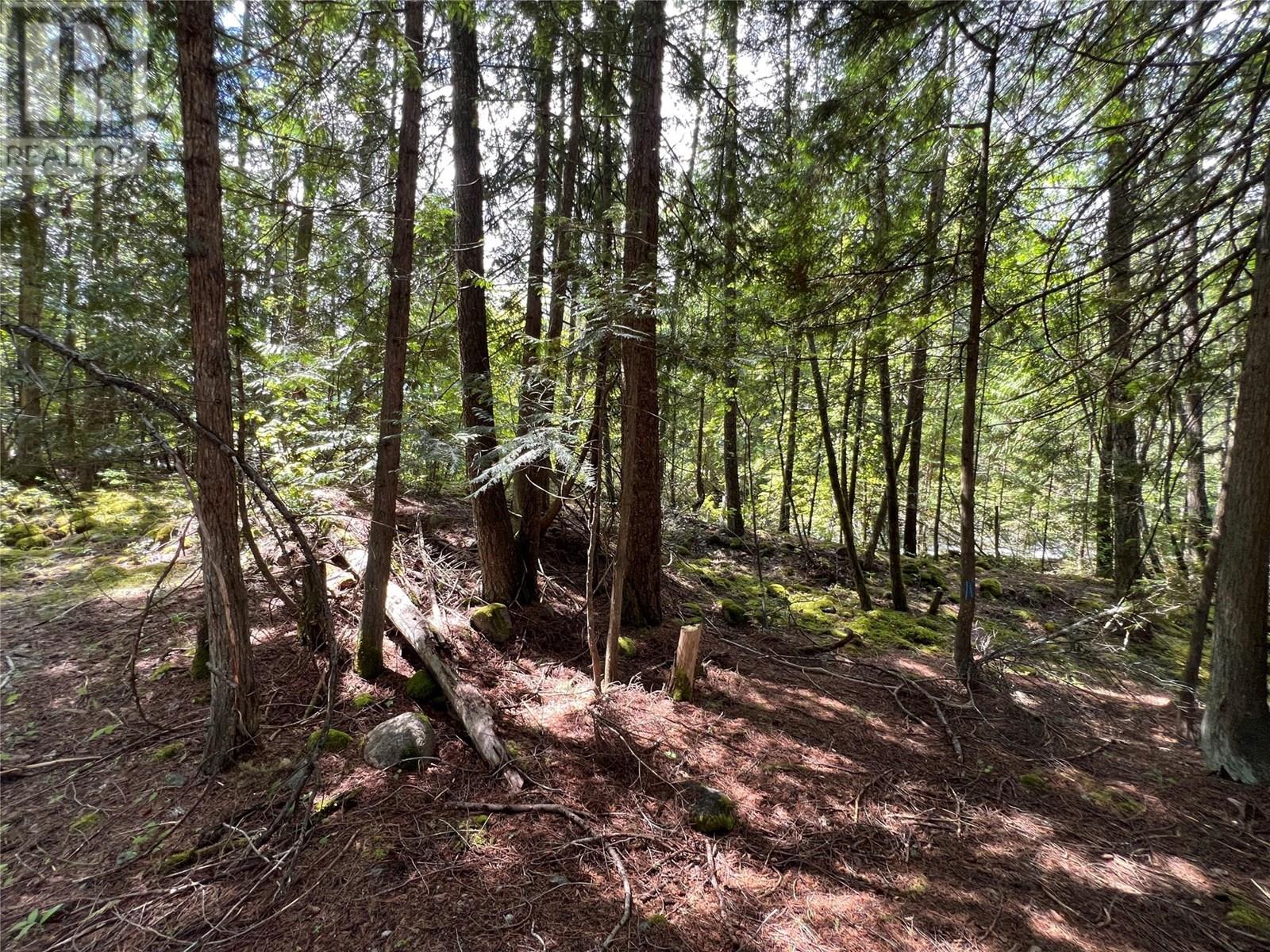 611 Slocan Street, Slocan, British Columbia  V0G 2C0 - Photo 15 - 10340071