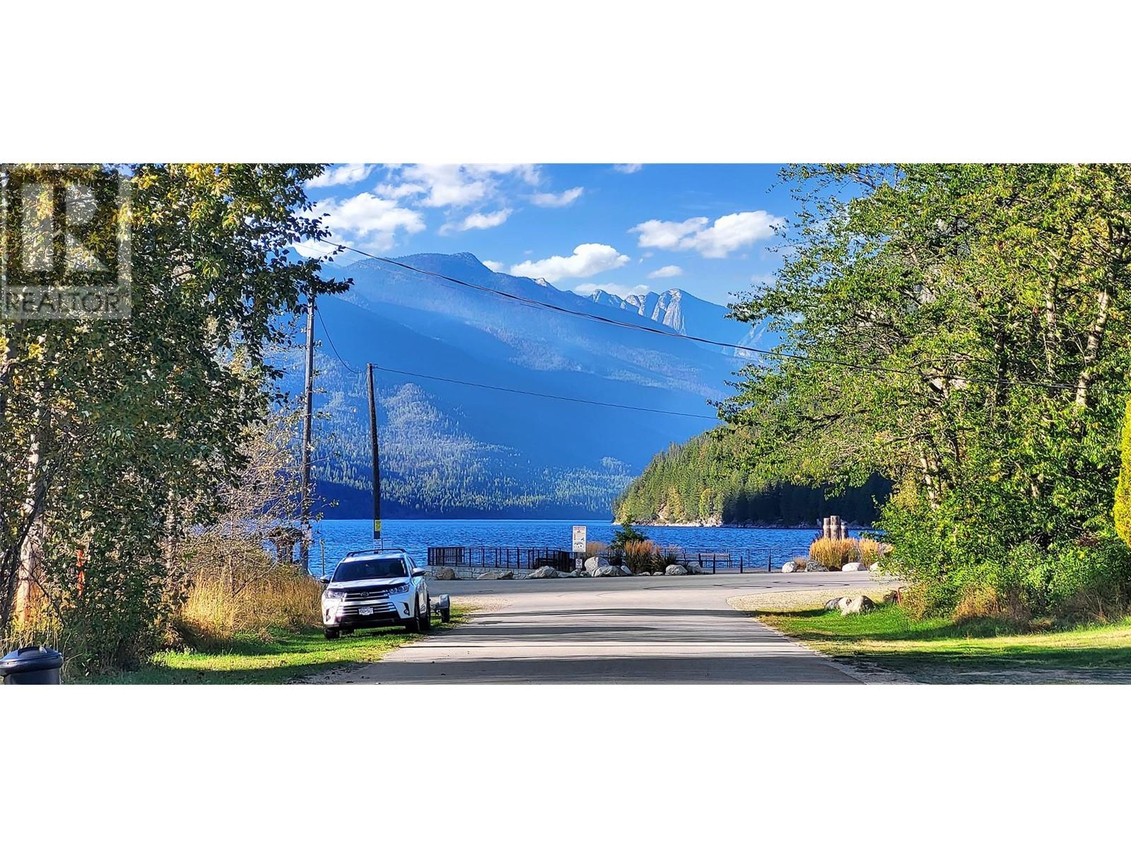 303 Delany Avenue, Slocan, British Columbia  V0G 2C0 - Photo 3 - 10341059