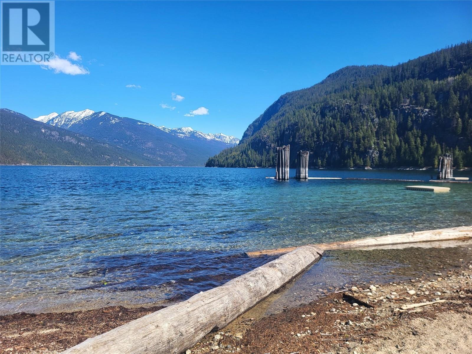 303 Delany Avenue, Slocan, British Columbia  V0G 2C0 - Photo 47 - 10341059