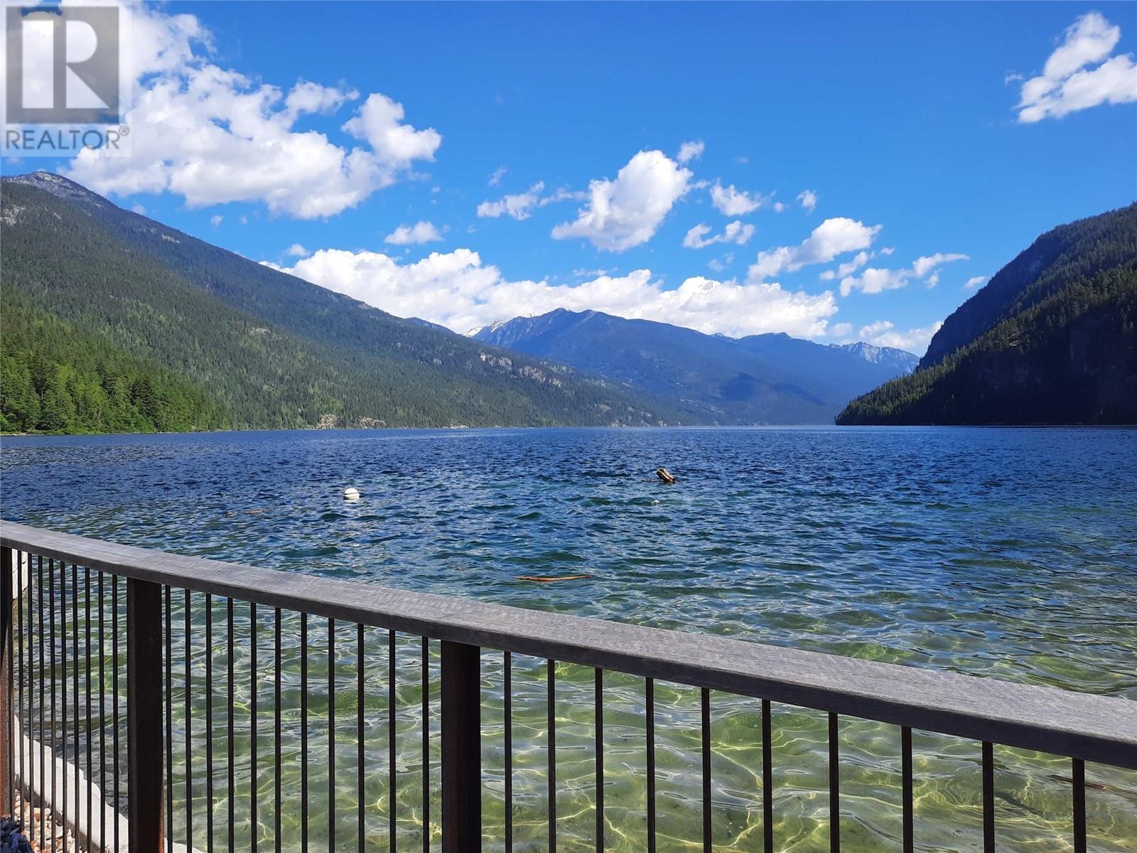 303 Delany Avenue, Slocan, British Columbia  V0G 2C0 - Photo 48 - 10341059
