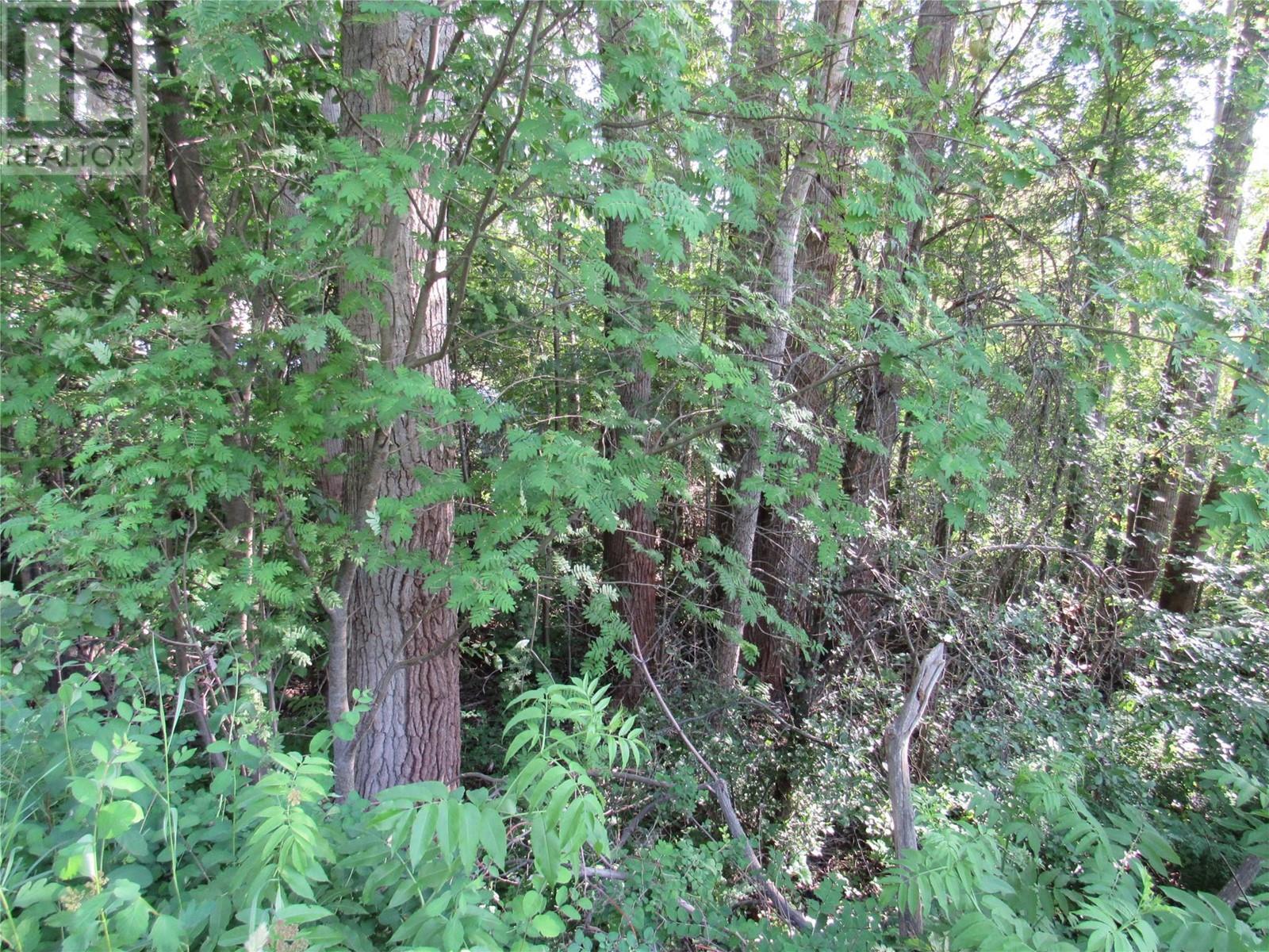 1112 Pass Creek Road, Robson, British Columbia  V0G 1X0 - Photo 2 - 10341046