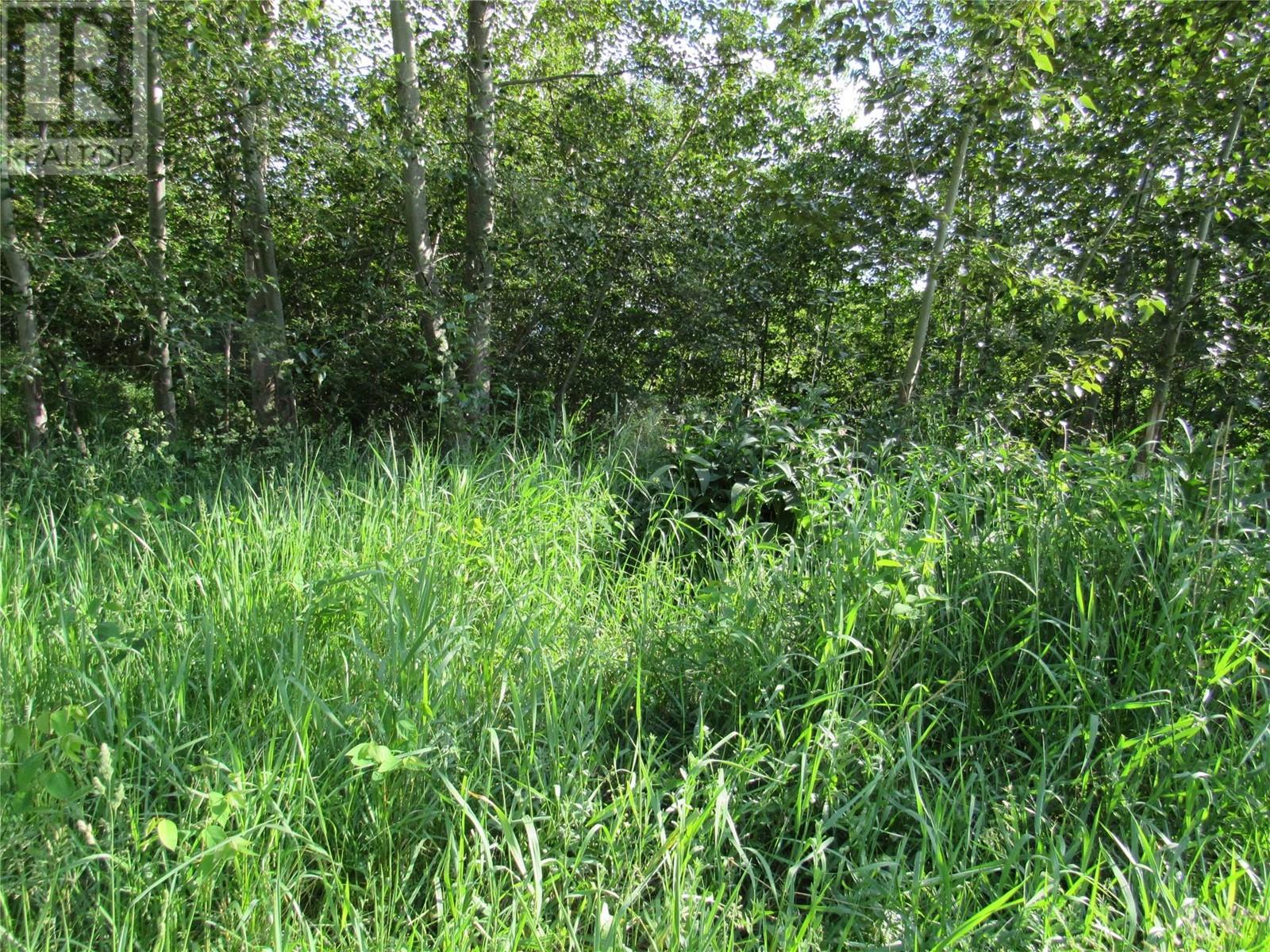 2073 Raspberry Road, Robson, British Columbia  V0G 1X0 - Photo 2 - 10341053