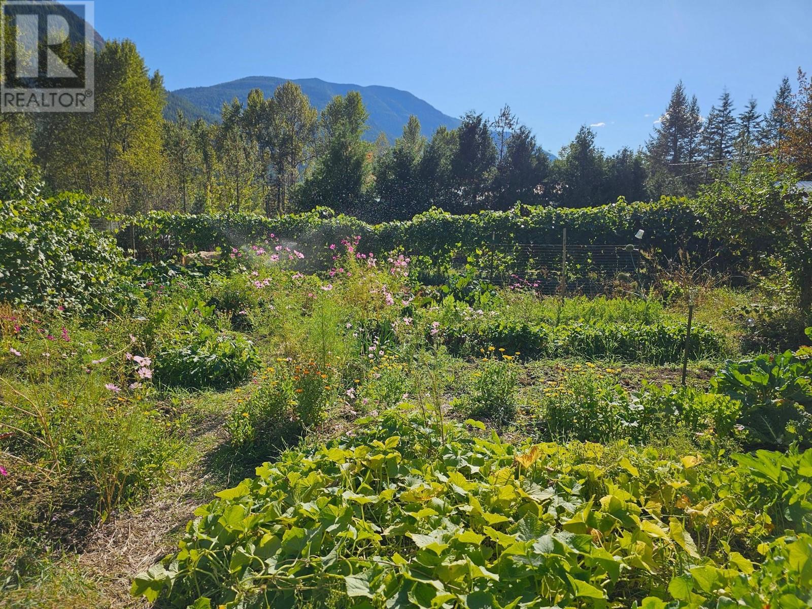 5598 Minart Road, Winlaw, British Columbia  V0G 2J0 - Photo 35 - 10341171