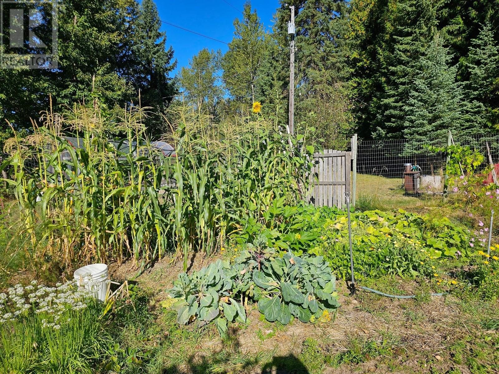 5598 Minart Road, Winlaw, British Columbia  V0G 2J0 - Photo 39 - 10341171