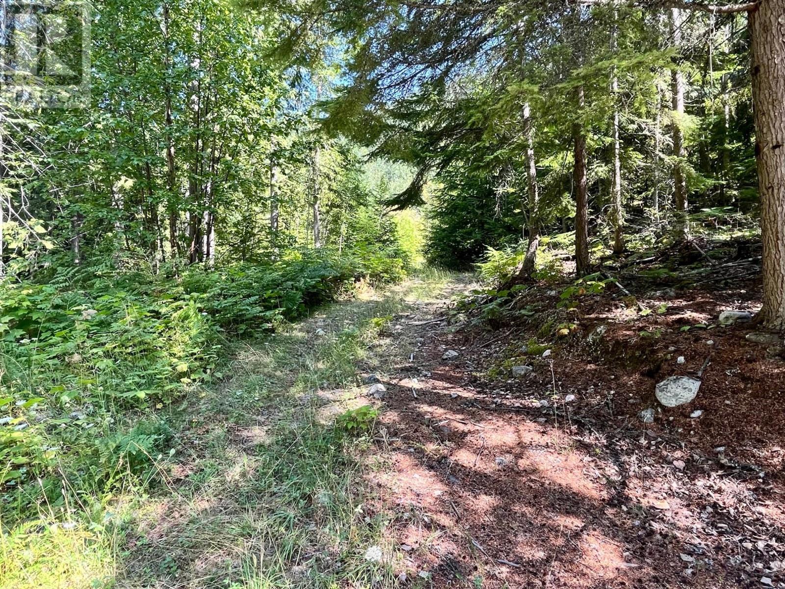 5345 Highway 6 Highway, Burton, British Columbia  V0G 1R0 - Photo 15 - 10341467