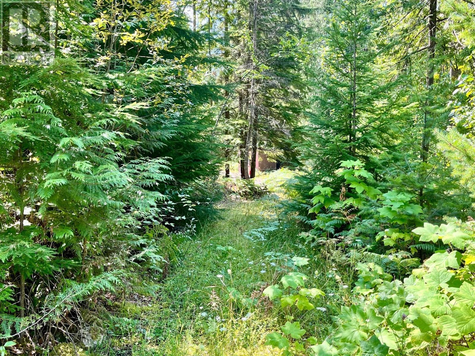 5345 Highway 6 Highway, Burton, British Columbia  V0G 1R0 - Photo 16 - 10341467