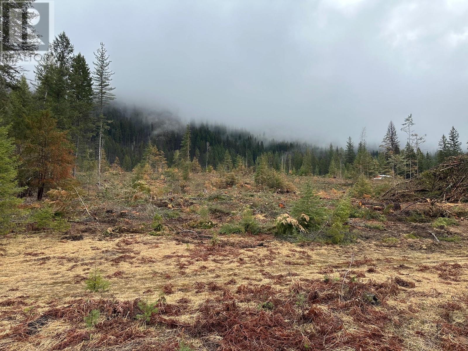 Lot C Lancaster Road, Winlaw, British Columbia  V0G 2J0 - Photo 1 - 10341568