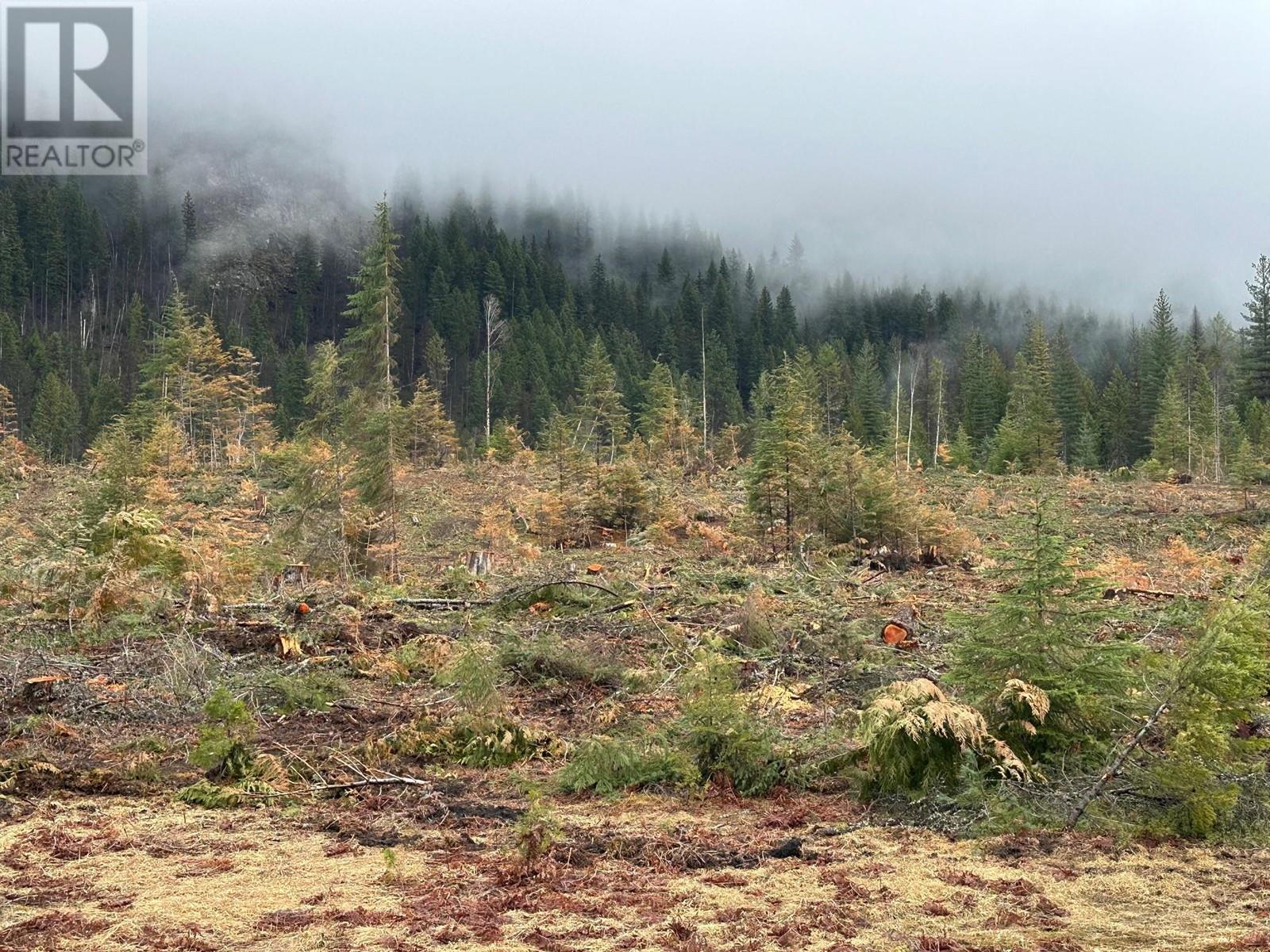 Lot C Lancaster Road, Winlaw, British Columbia  V0G 2J0 - Photo 2 - 10341568