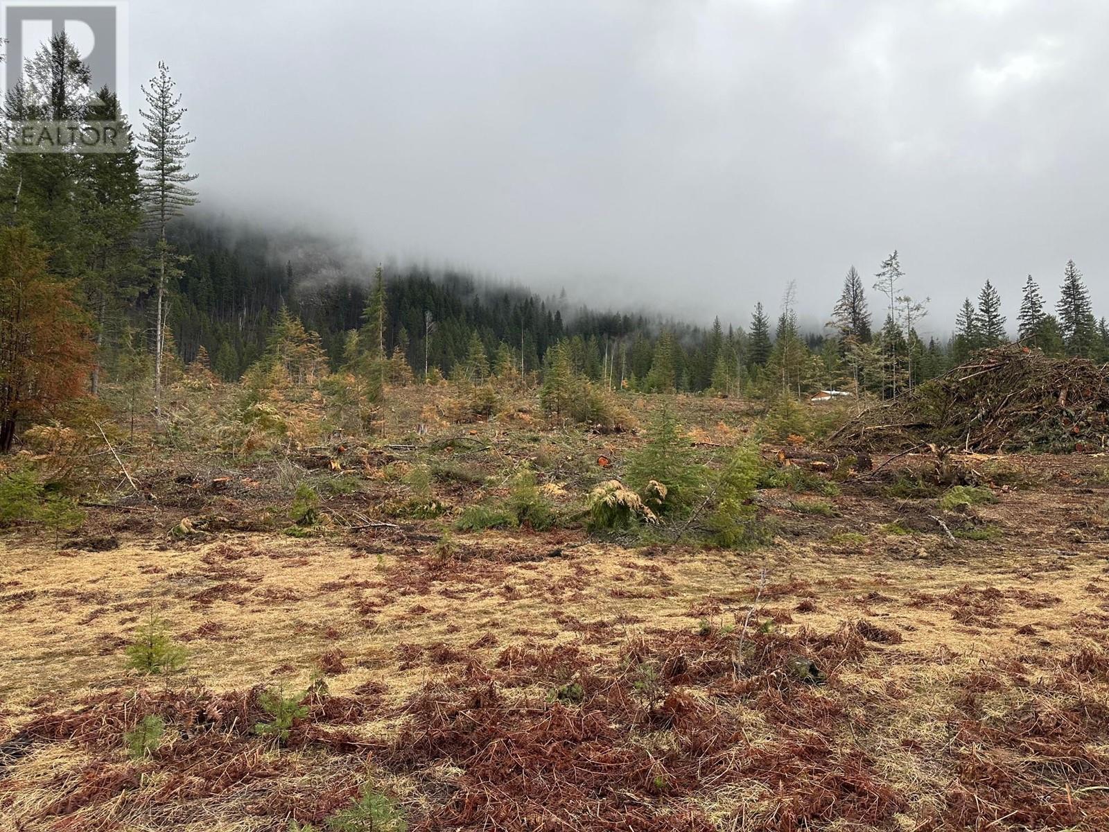 Lot C Lancaster Road, Winlaw, British Columbia  V0G 2J0 - Photo 3 - 10341568
