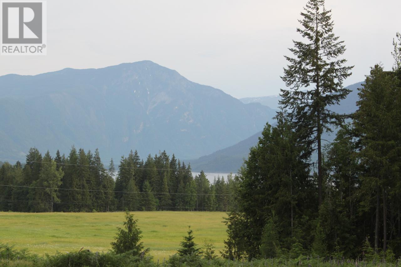 736 Bartley Road, Nakusp, British Columbia  V0G 1R1 - Photo 12 - 10343001