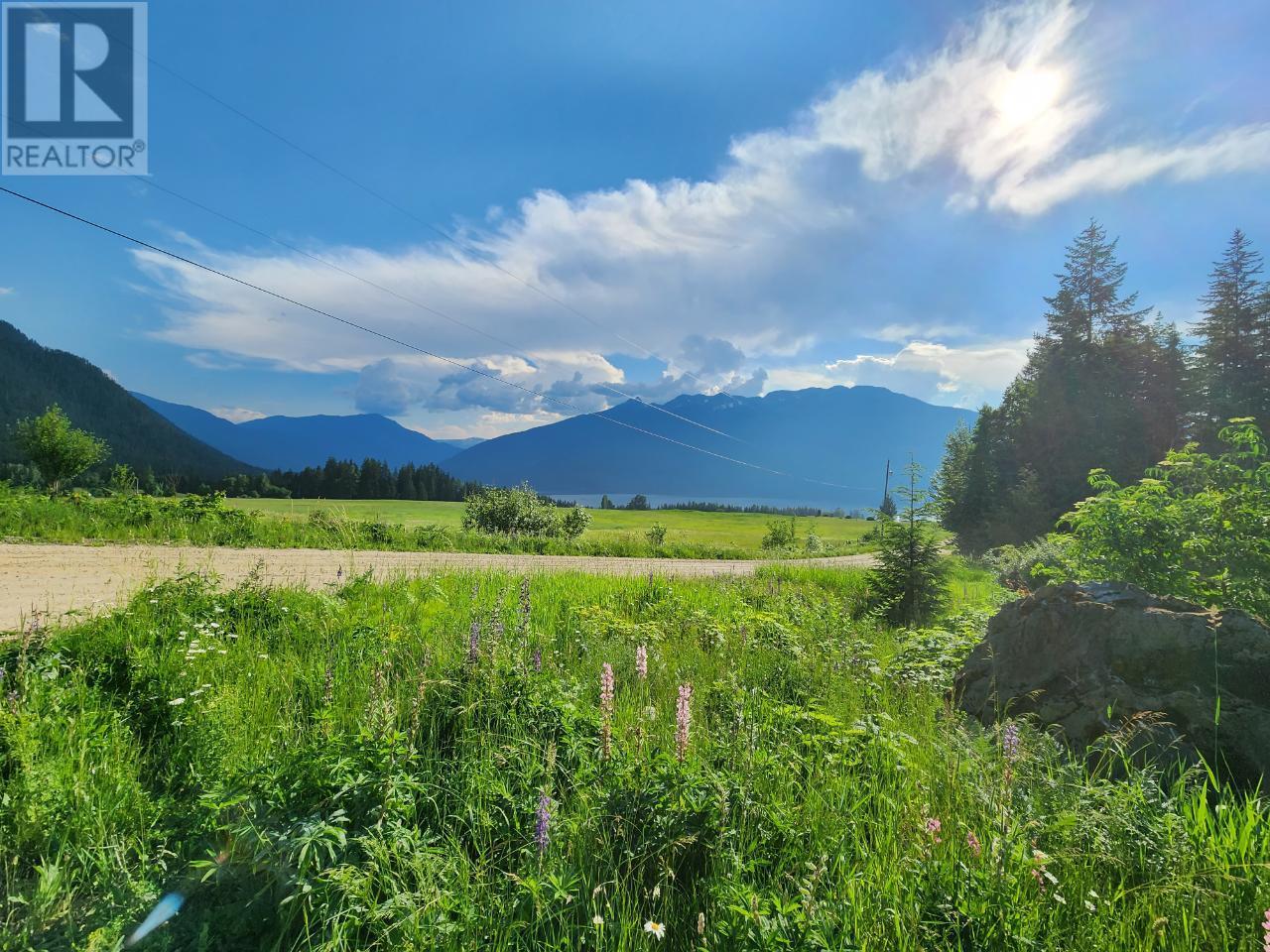 736 Bartley Road, Nakusp, British Columbia  V0G 1R1 - Photo 5 - 10343001