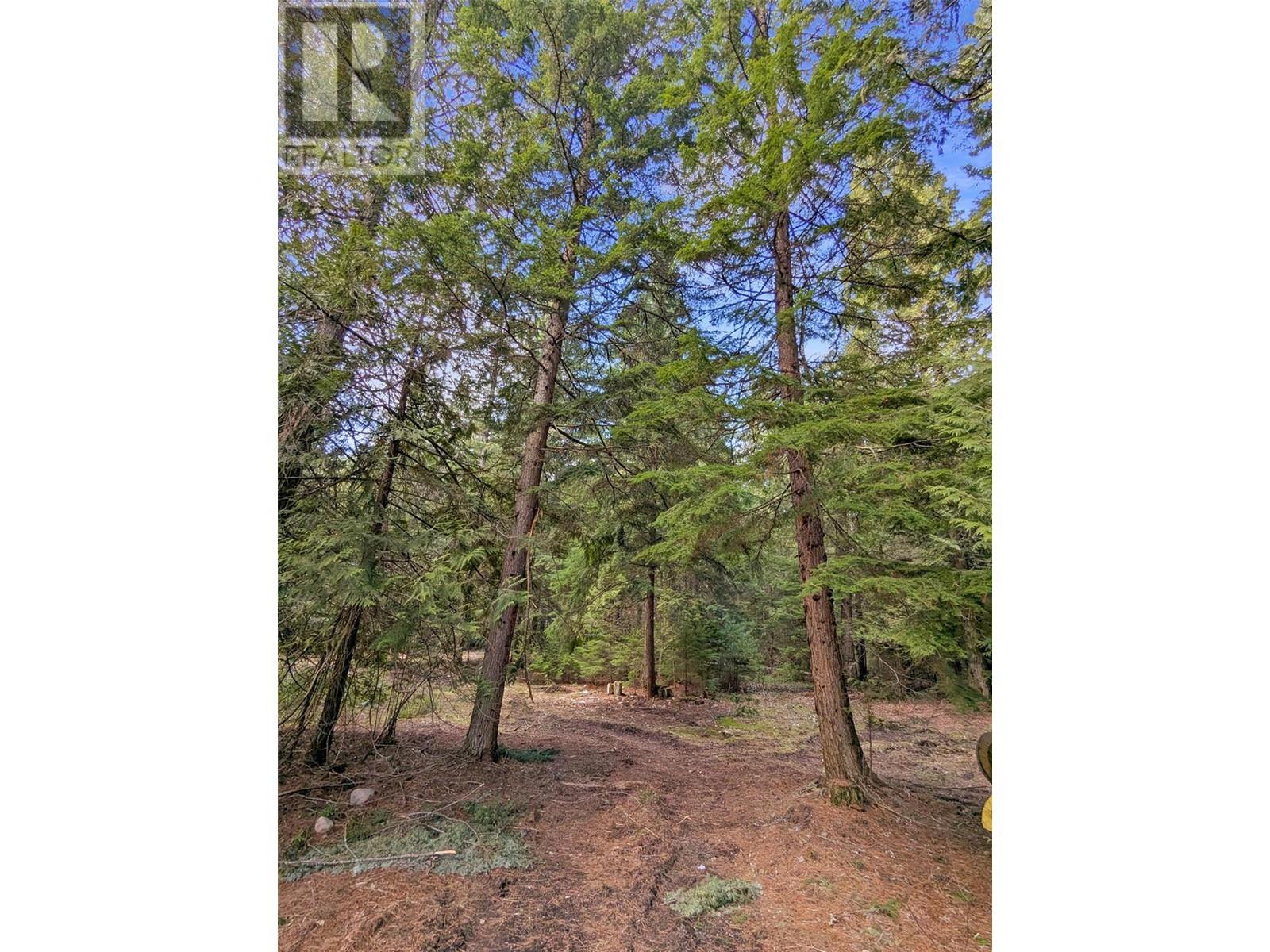 5837 Highway 6, Winlaw, British Columbia  V0G 2J0 - Photo 30 - 10342857