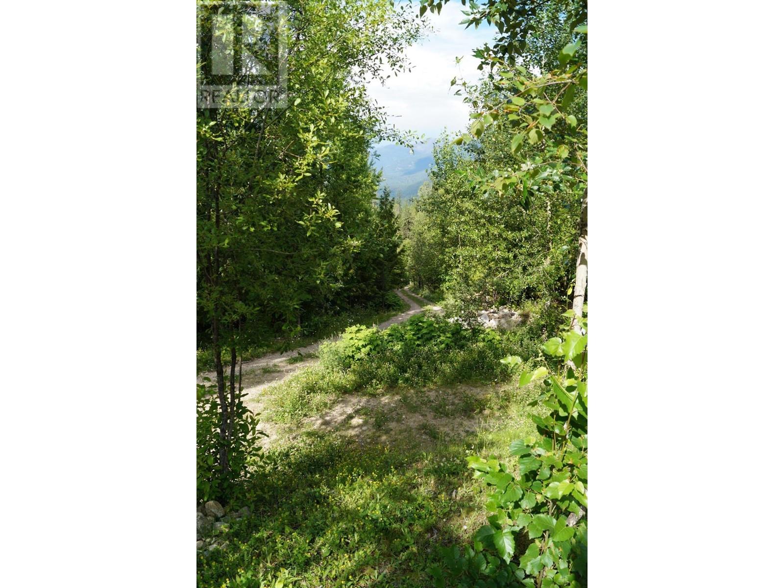 4650 6 Highway, Winlaw, British Columbia  V0G 2J0 - Photo 22 - 10343389