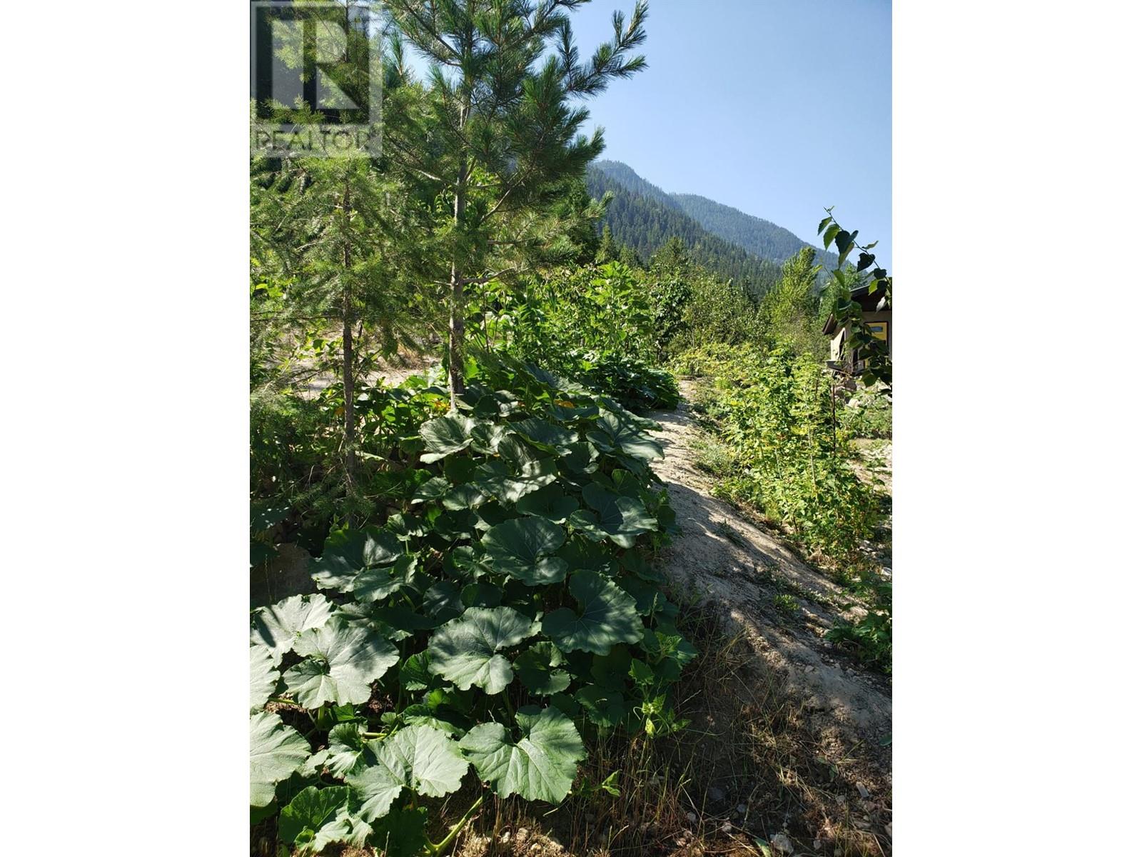 4650 6 Highway, Winlaw, British Columbia  V0G 2J0 - Photo 33 - 10343389