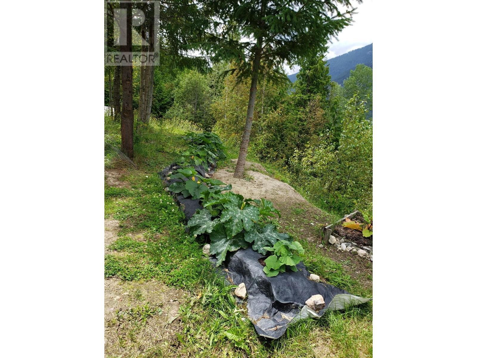 4650 6 Highway, Winlaw, British Columbia  V0G 2J0 - Photo 34 - 10343389