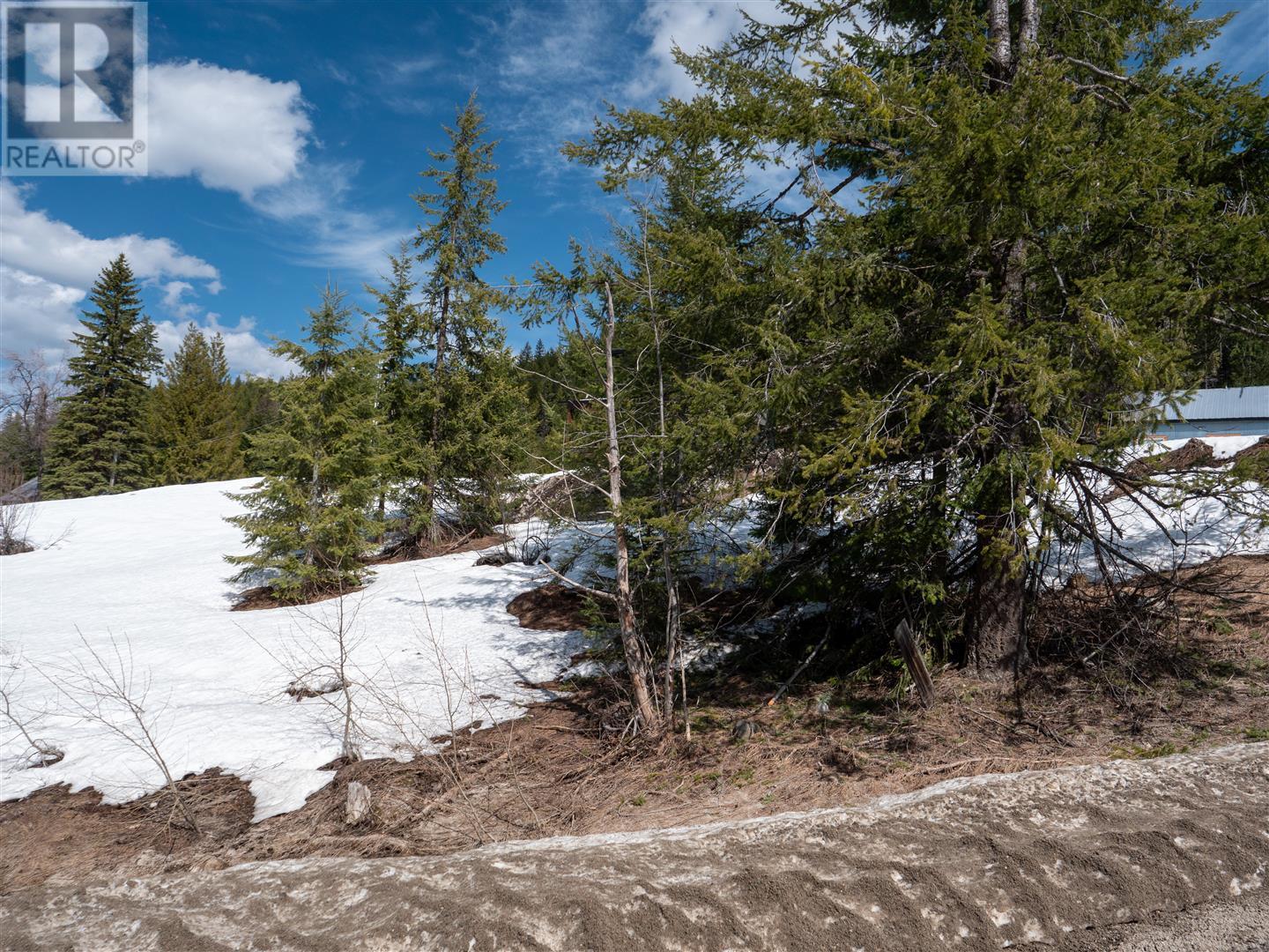 3923 Old Red Mountain Road, Rossland, British Columbia  V0G 1Y0 - Photo 10 - 10344149