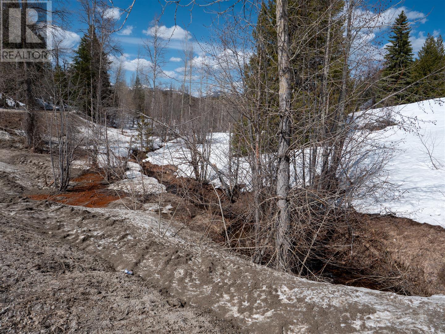 3923 Old Red Mountain Road, Rossland, British Columbia  V0G 1Y0 - Photo 11 - 10344149