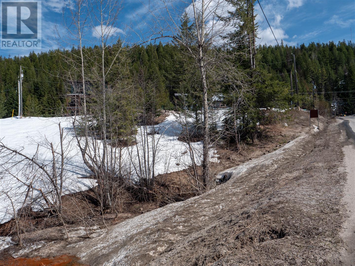 3923 Old Red Mountain Road, Rossland, British Columbia  V0G 1Y0 - Photo 12 - 10344149