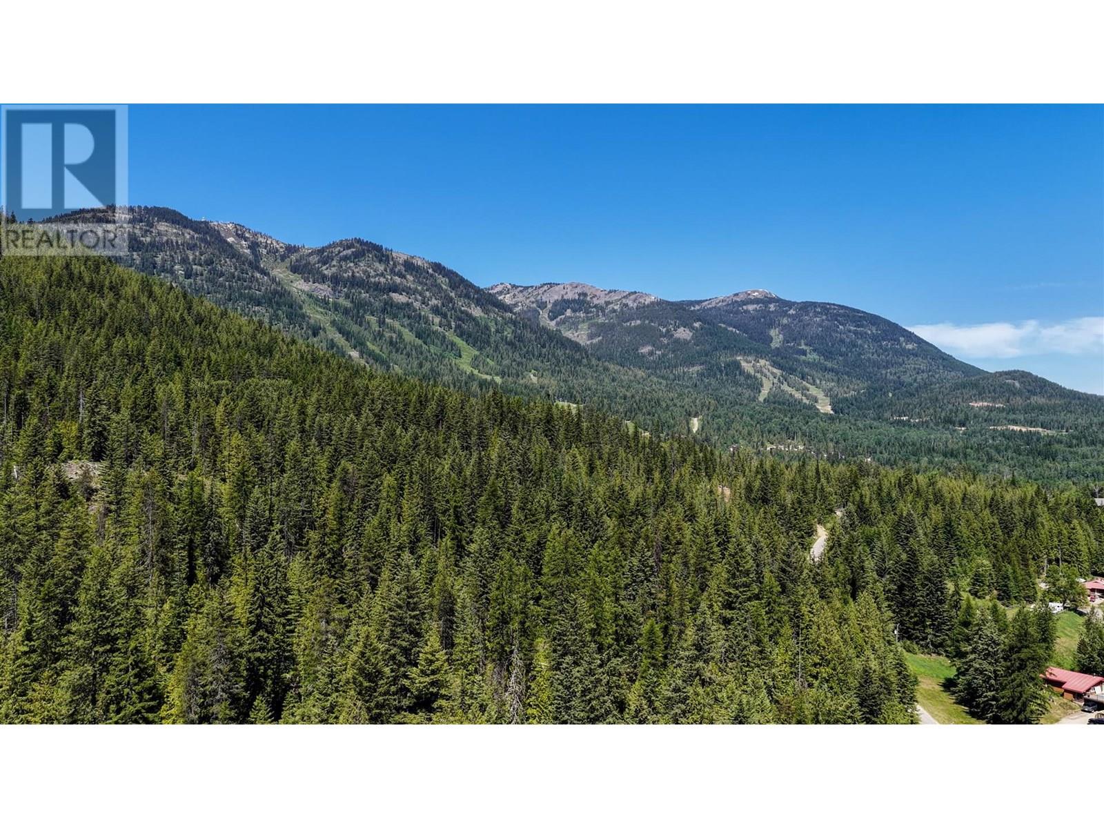 3923 Old Red Mountain Road, Rossland, British Columbia  V0G 1Y0 - Photo 16 - 10344149