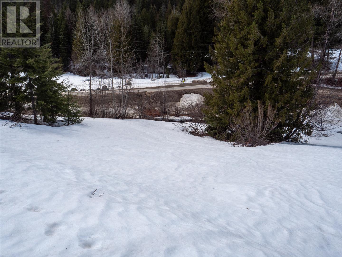 3923 Old Red Mountain Road, Rossland, British Columbia  V0G 1Y0 - Photo 5 - 10344149
