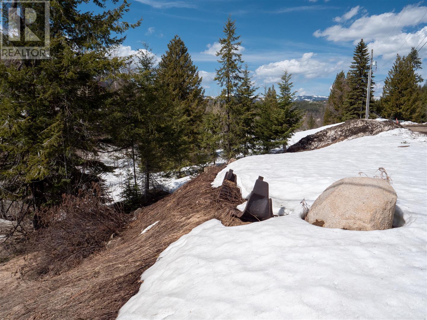 3923 Old Red Mountain Road, Rossland, British Columbia  V0G 1Y0 - Photo 6 - 10344149