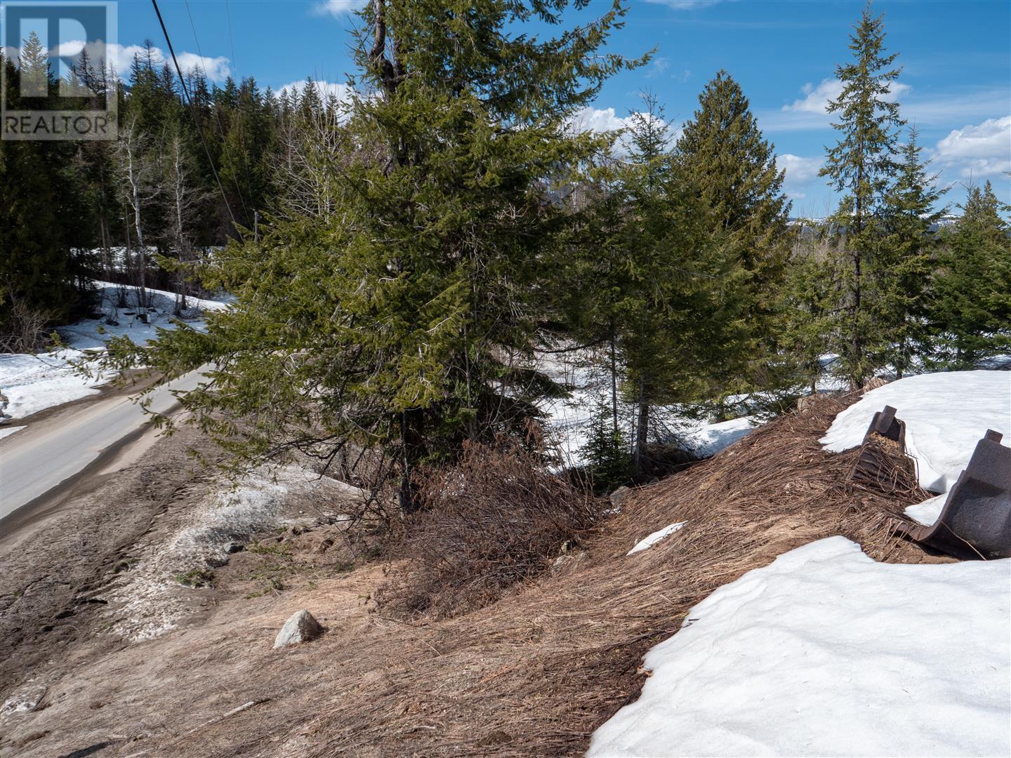 3923 Old Red Mountain Road, Rossland, British Columbia  V0G 1Y0 - Photo 7 - 10344149