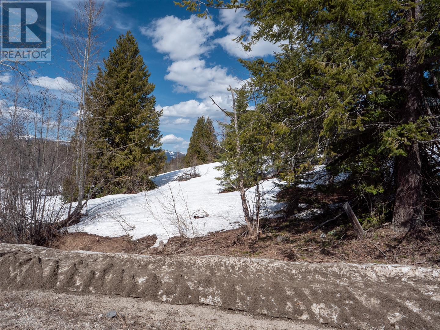 3923 Old Red Mountain Road, Rossland, British Columbia  V0G 1Y0 - Photo 8 - 10344149