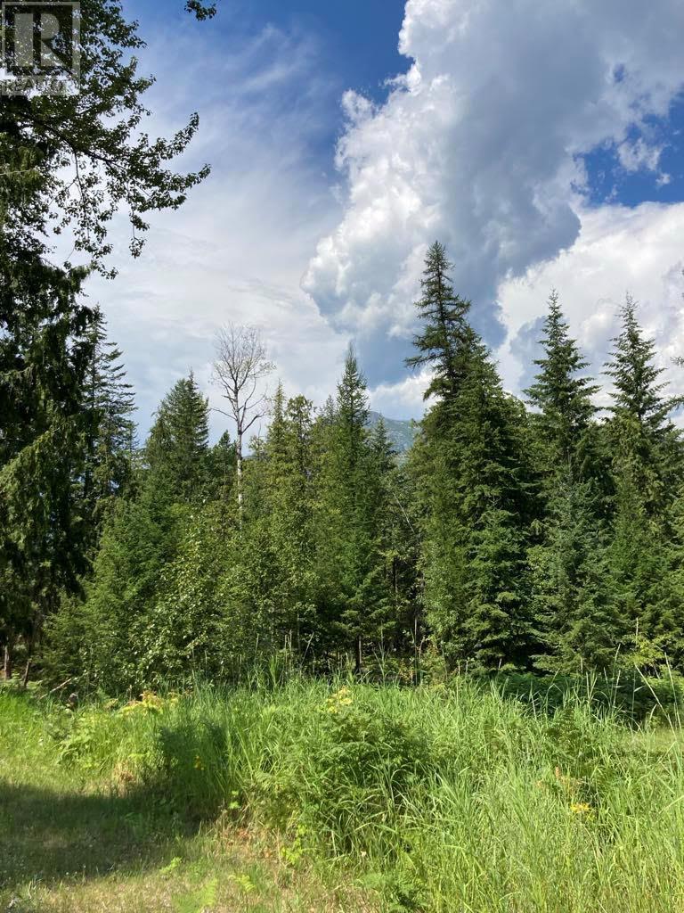 Lot 2 6 Highway, Burton, British Columbia  V0G 1R0 - Photo 11 - 10344249