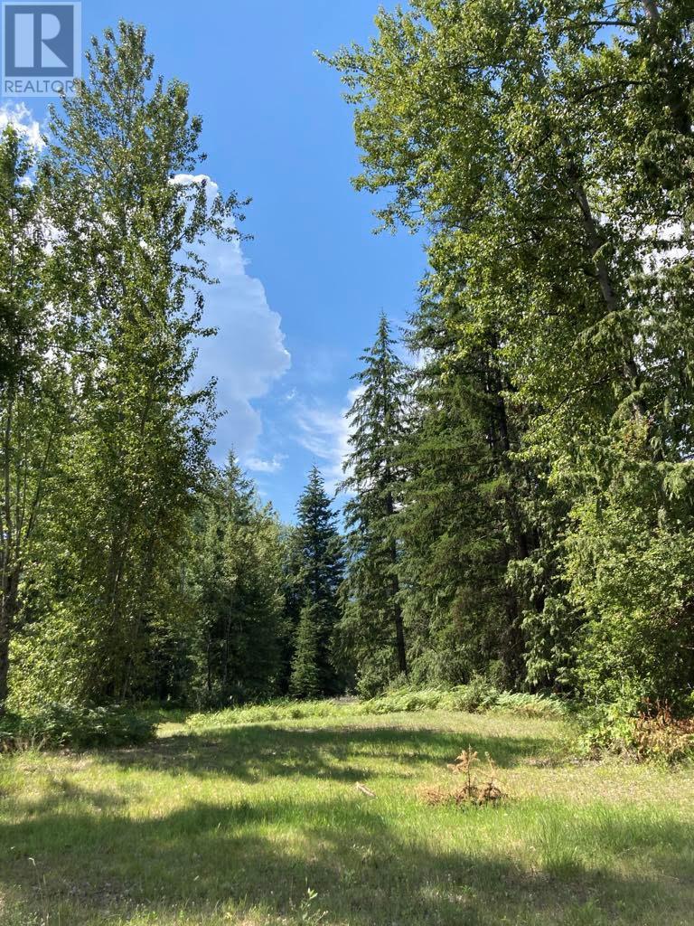 Lot 2 6 Highway, Burton, British Columbia  V0G 1R0 - Photo 12 - 10344249