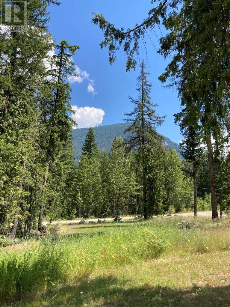 Lot 2 6 Highway, Burton, British Columbia  V0G 1R0 - Photo 13 - 10344249