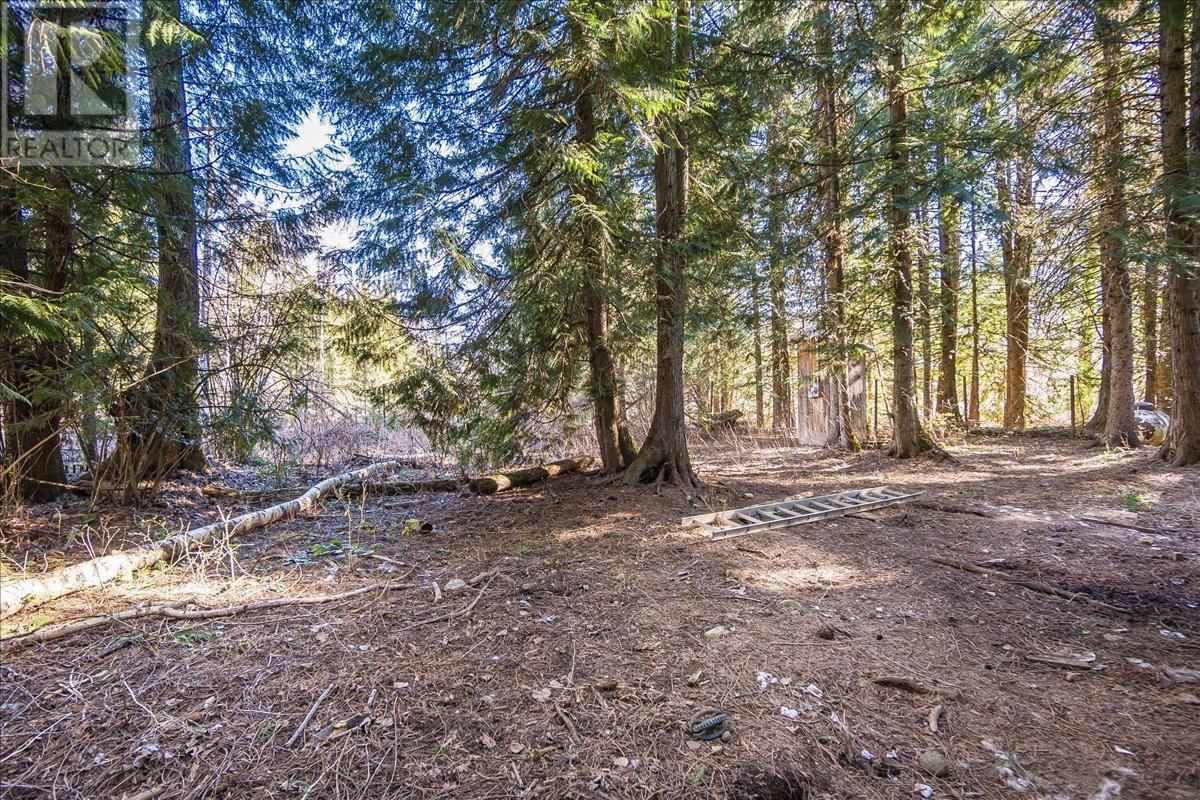 8751 Highway 6, Salmo, British Columbia  V0G 1Z0 - Photo 22 - 10344237