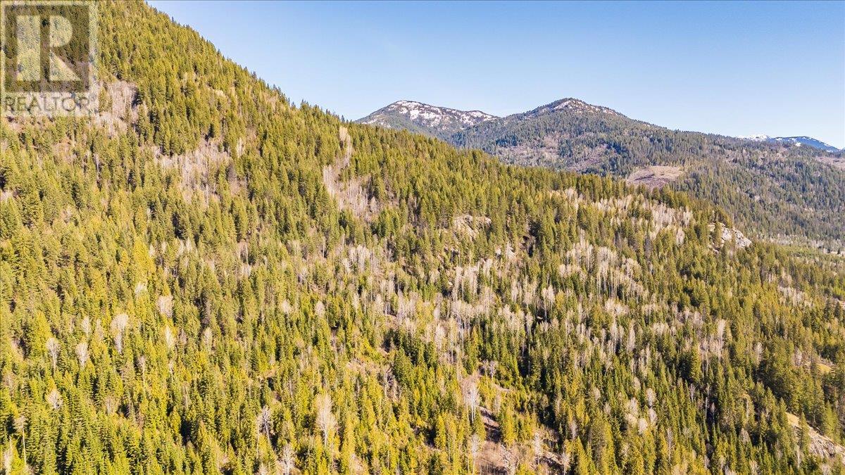 8751 Highway 6, Salmo, British Columbia  V0G 1Z0 - Photo 38 - 10344237