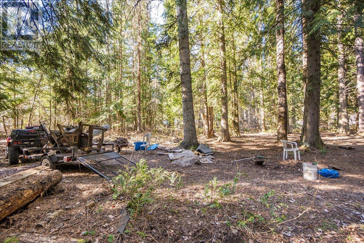 8751 Highway 6, Salmo, British Columbia  V0G 1Z0 - Photo 39 - 10344237