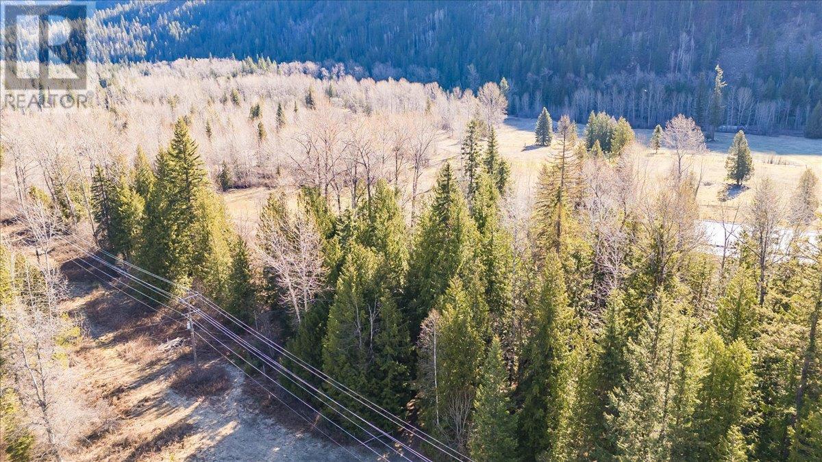 8751 Highway 6, Salmo, British Columbia  V0G 1Z0 - Photo 42 - 10344237